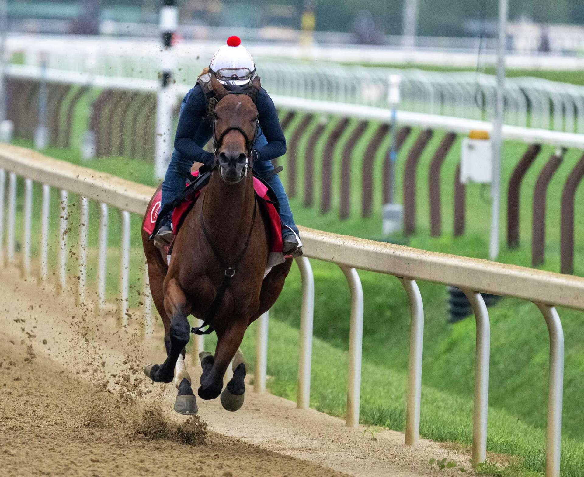 Good Cheer, La Cara headline Alabama Stakes at Saratoga track