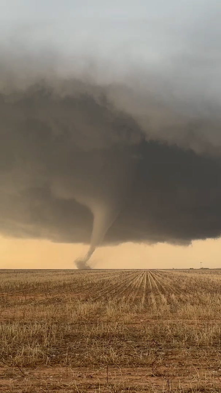 'Holy cow': Storm chaser stunned by tornado in Texas Panhandle