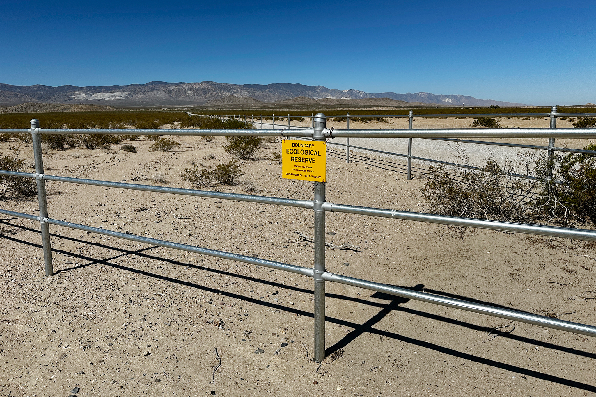 This overlooked California desert road hides a secret from the ice age