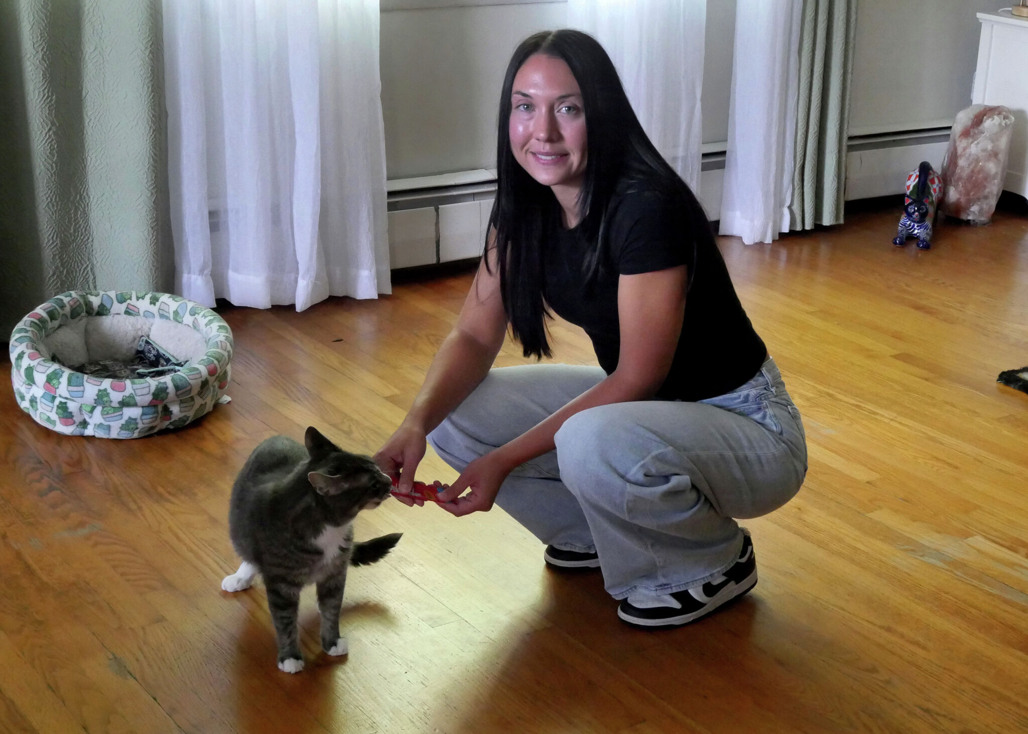 love cats BRIEFING グレー パーカー S A Chance for Love Rescue seeks to open cat shelter in Branford