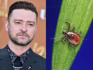What is Lyme disease? What to know about Justin Timberlake's diagnosis