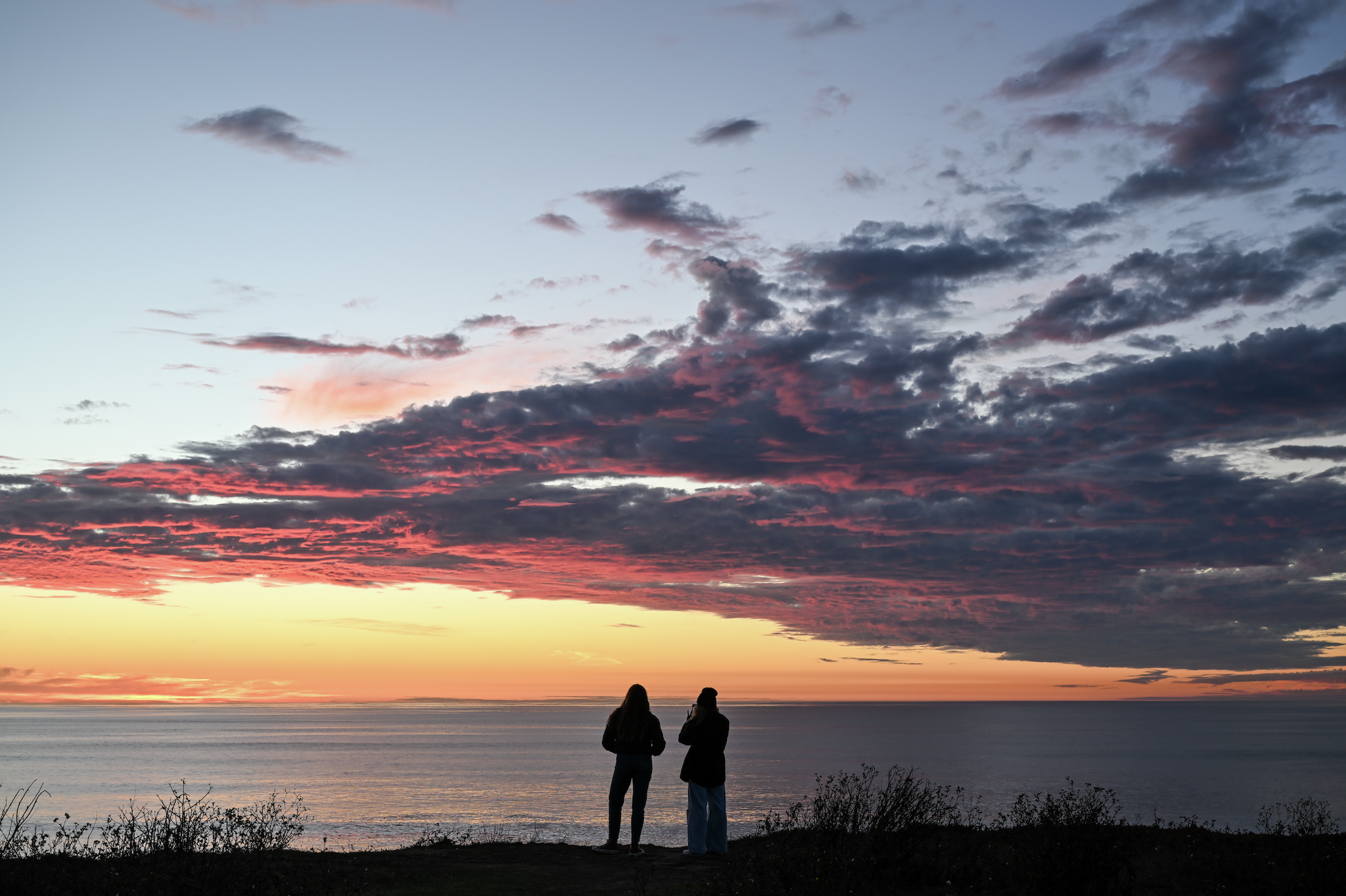 https://www.sfgate.com/local/article/wavecrest-best-bay-area-hike-not-know-20798179.php social preview image