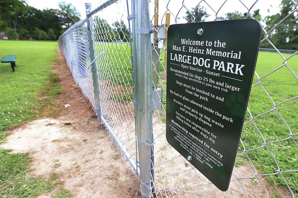 What'S Needed to Open Up a Dog Park: Essential Steps Revealed