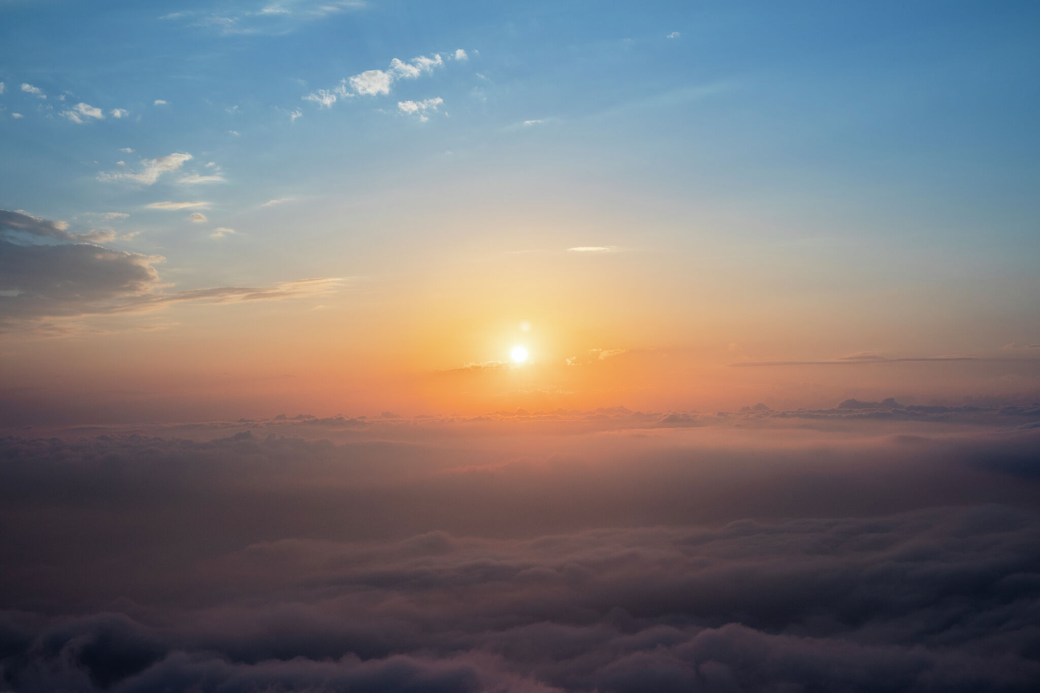 HANAK H 460 BL - Il Tuo Negozio Di Pesca A Mosca - Foto 11