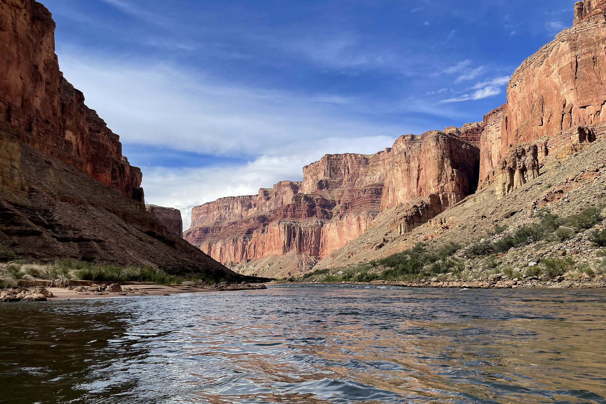 New species discovered in the Grand Canyon will make your mom blush