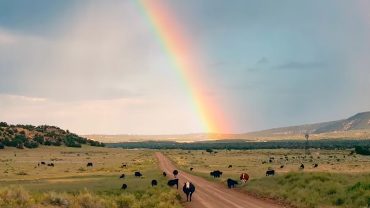 Expansive and Untamed $115 Million Ranch Owned by Family Behind ...