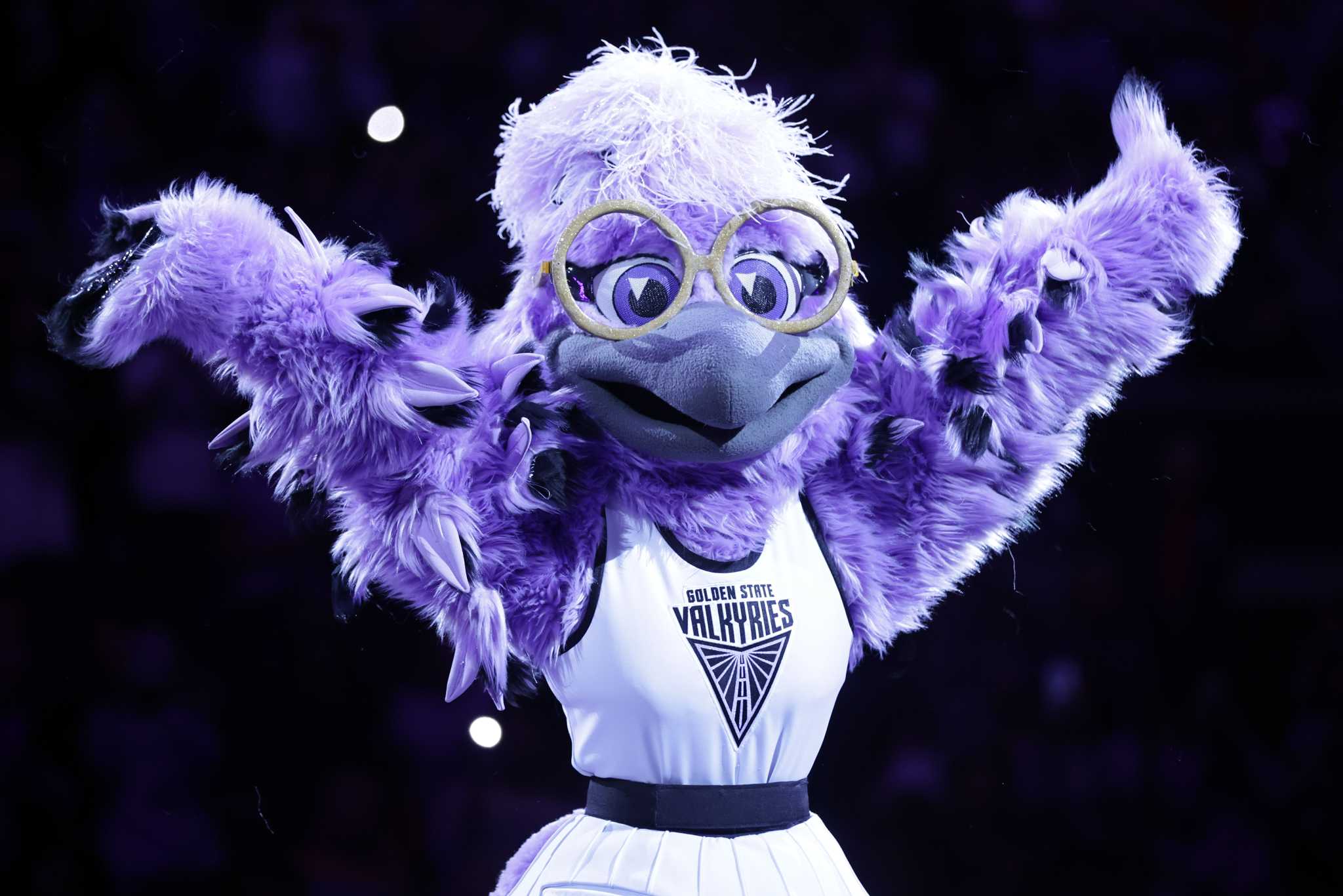 Quoth the Golden State Valkyries: WNBA team’s mascot is a raven