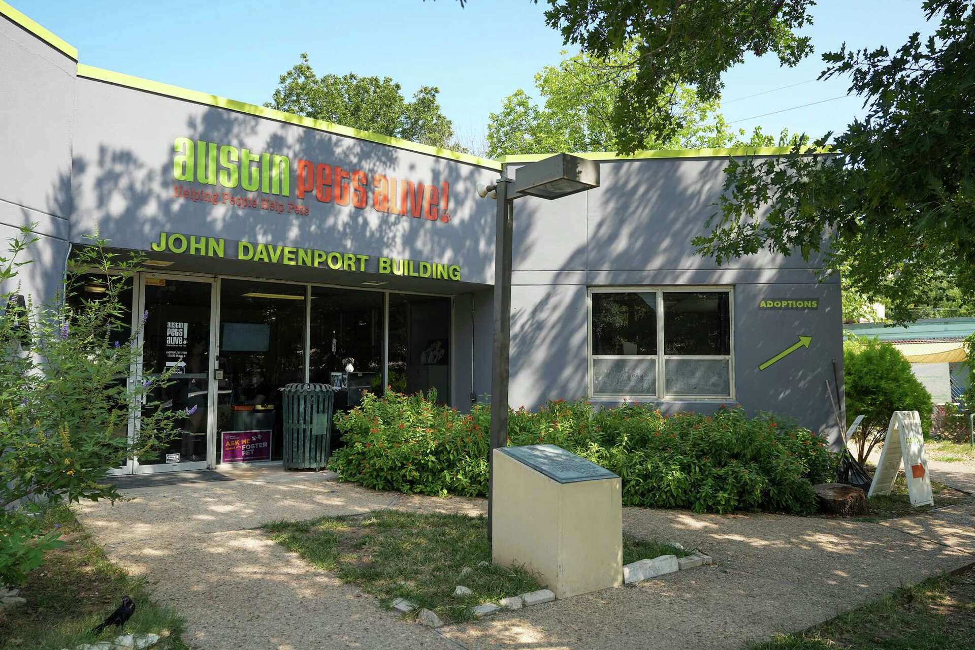 Austin canine pneumovirus: APA moves 25 dogs, city seeks fosters