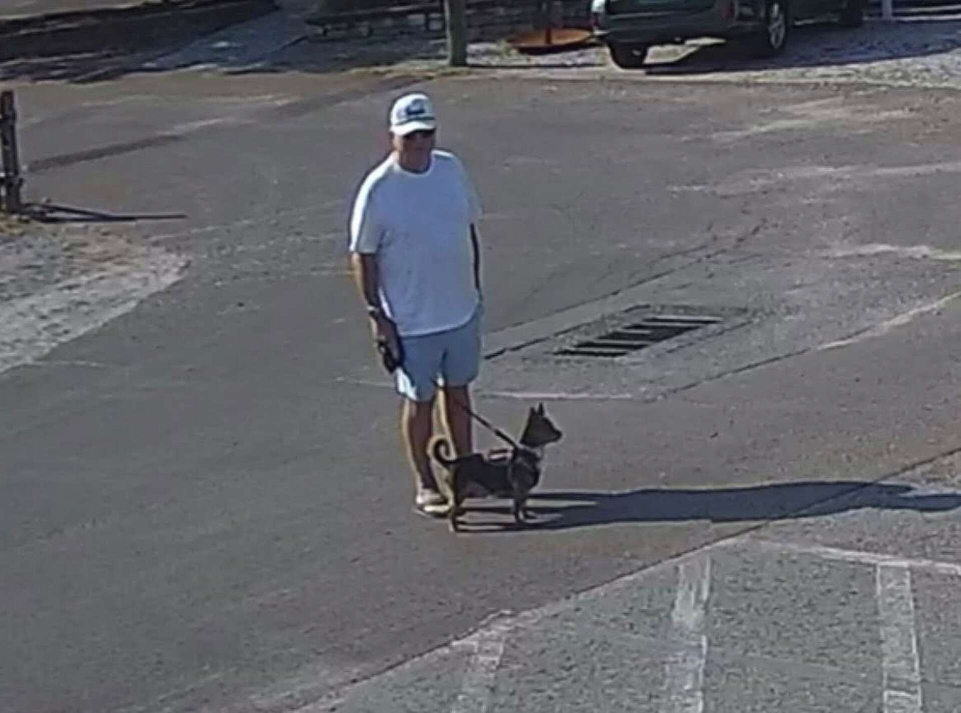 Dog, owner sought after Essex 'bite incident' on Friday
