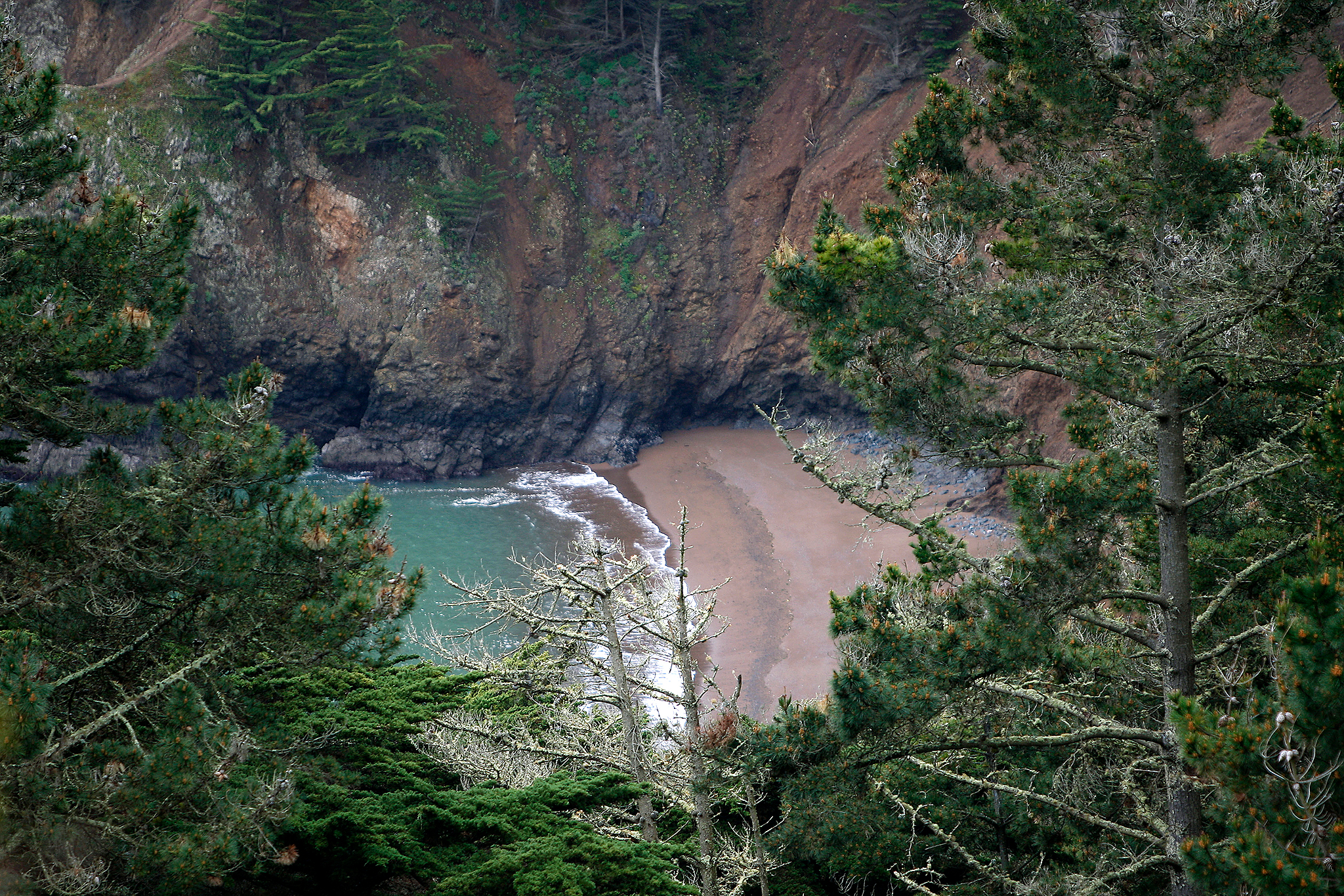 Hiker found dead in popular Bay Area park
