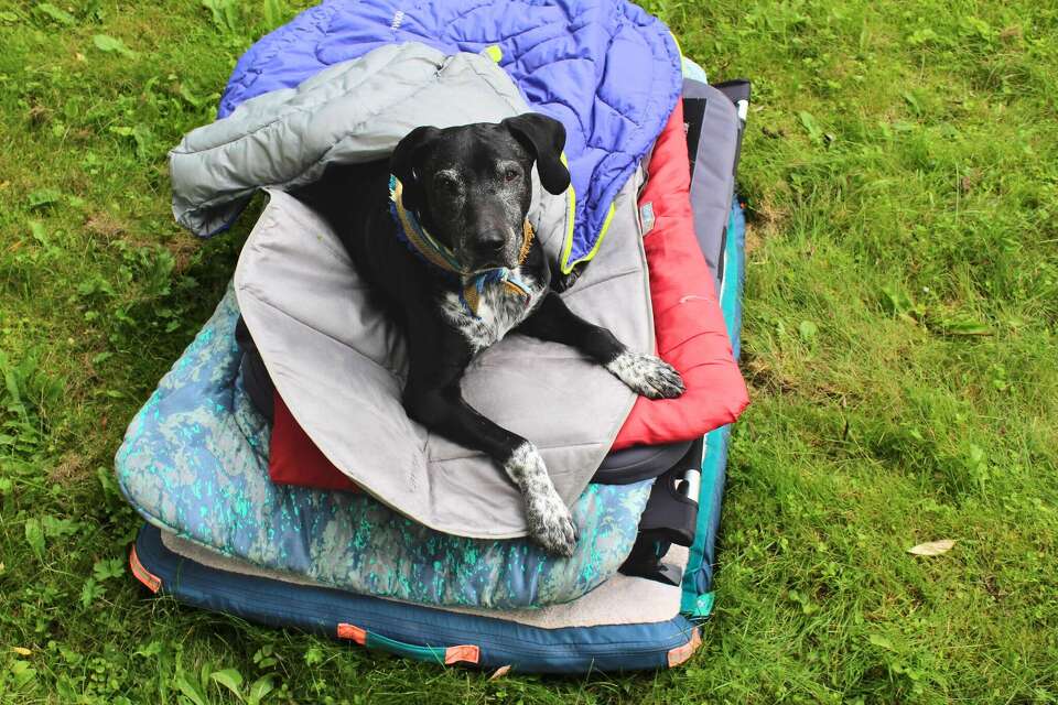 Sleeping Bag Navaris Dog Travel Bed Portable And Foldable