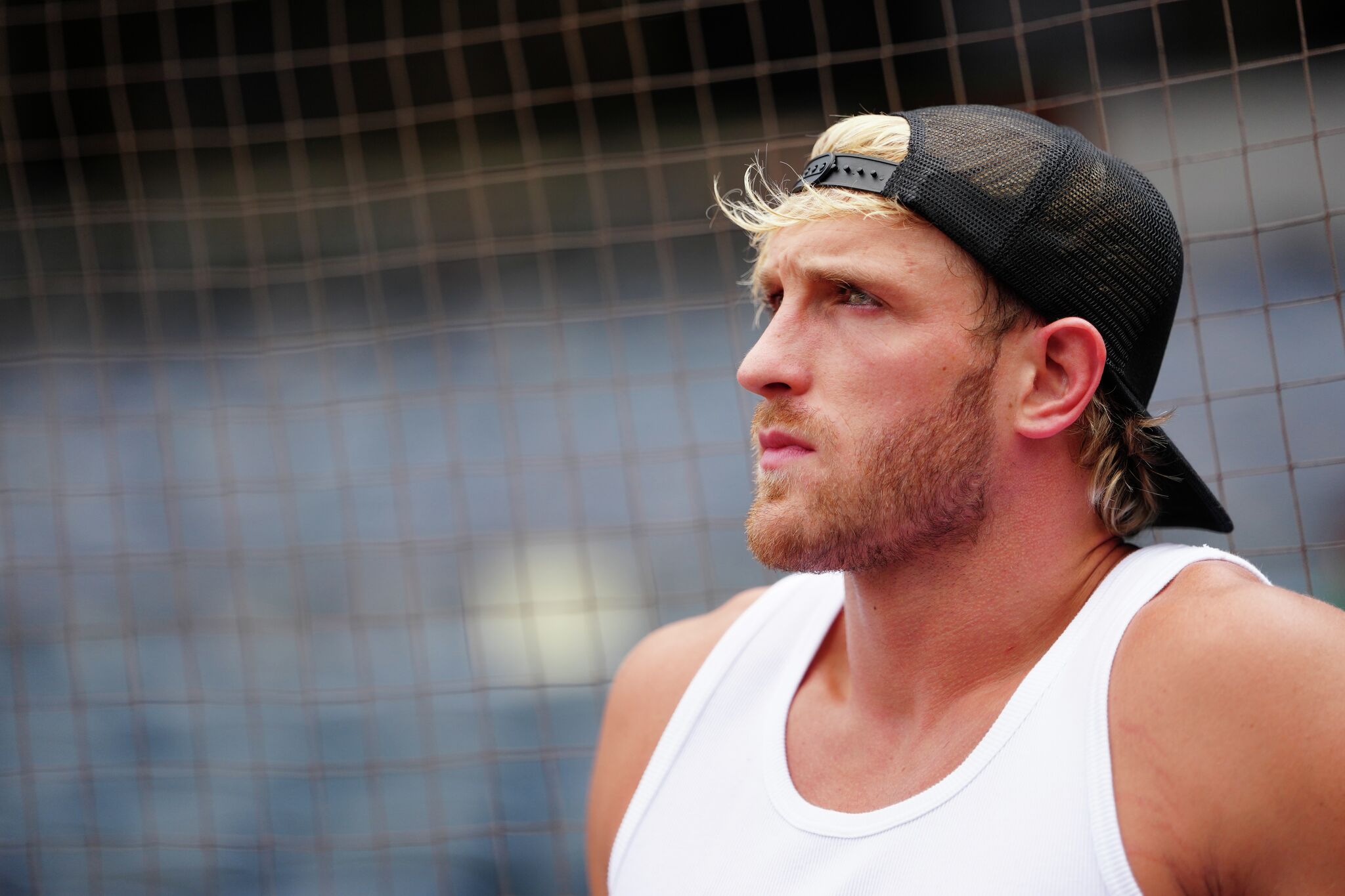 Texas judge sides with Logan Paul in NFT lawsuit battle