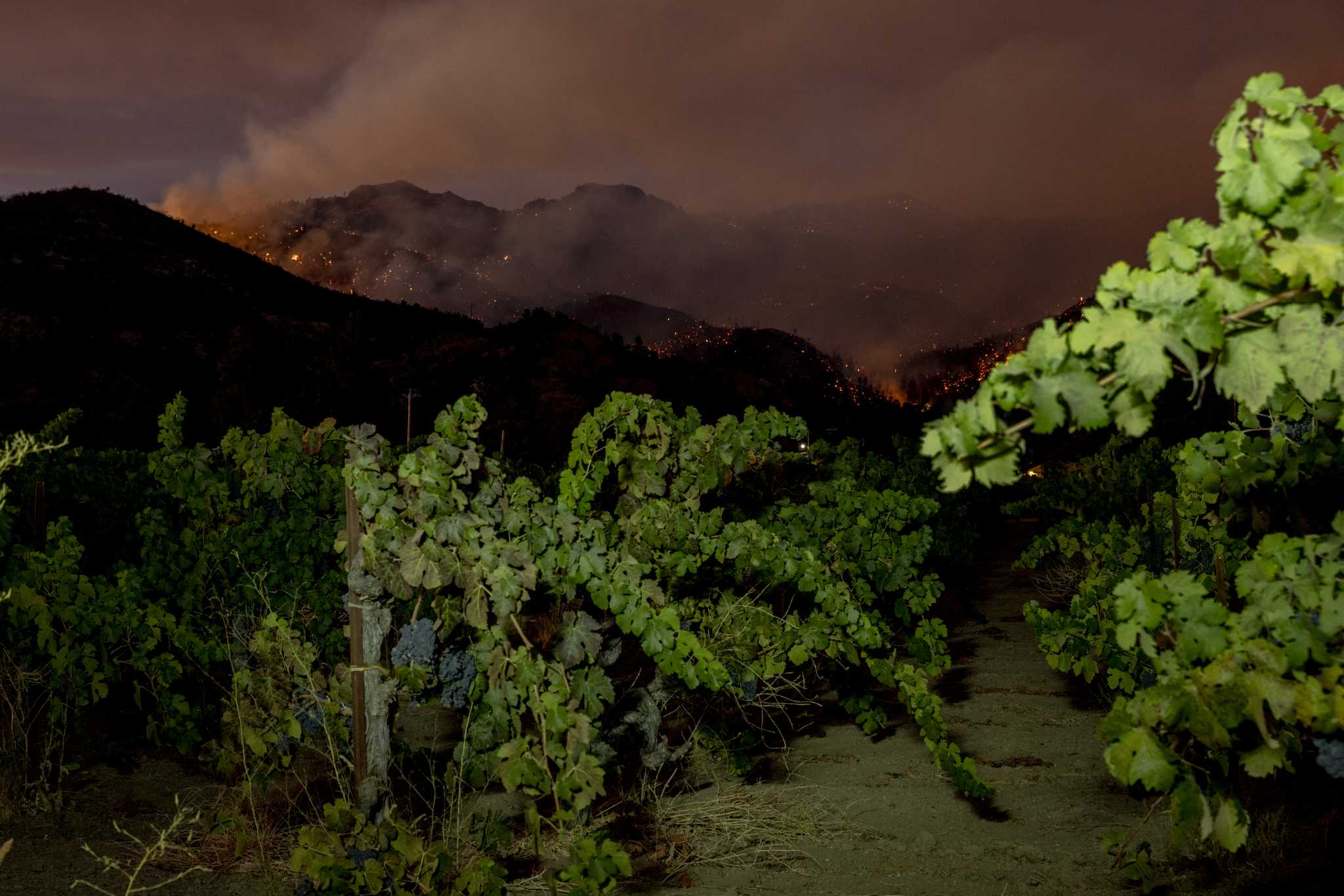 The Pickett Fire is threatening these Napa Valley wineries