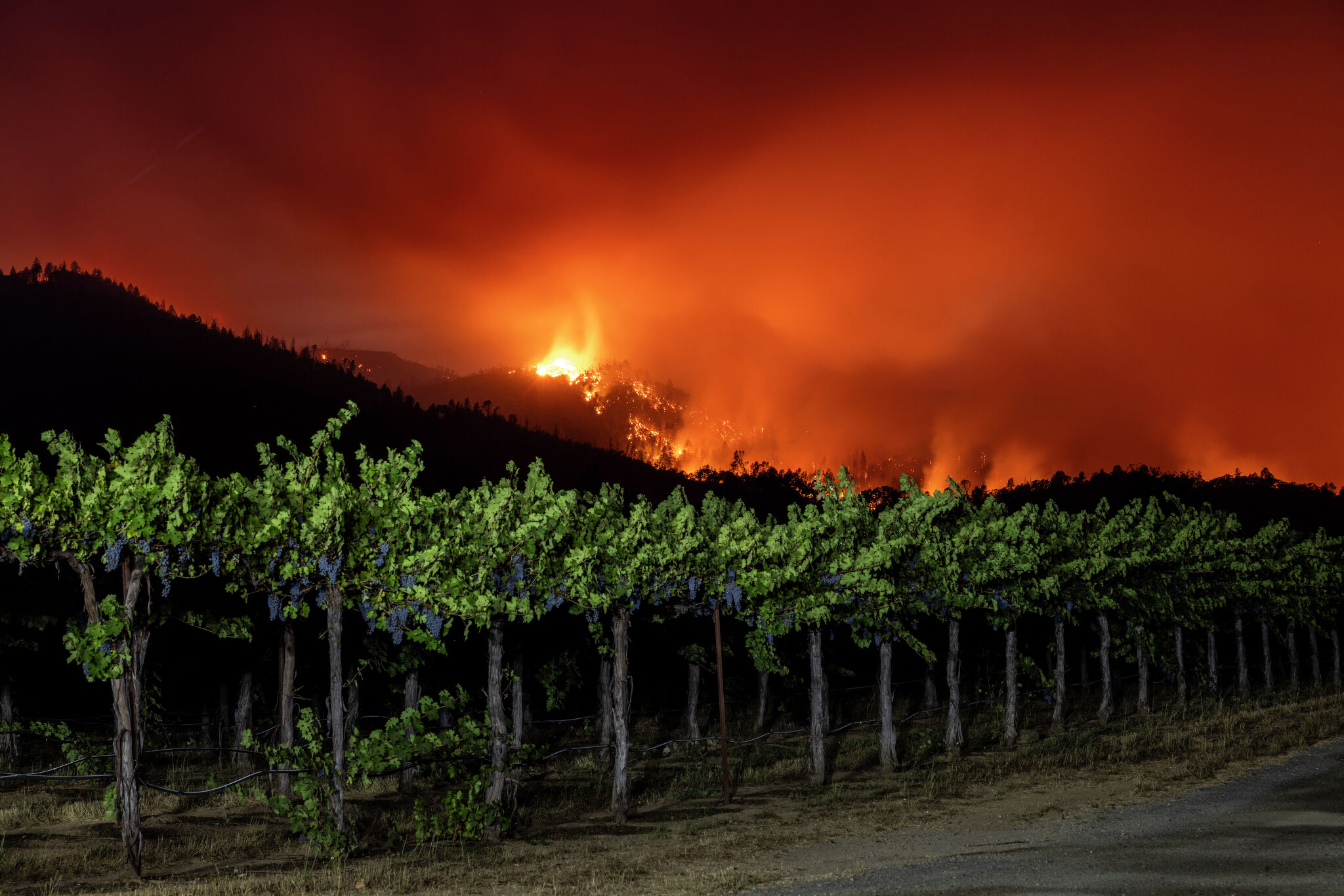 Pickett Fire may have started at winery prepping for unpermitted event