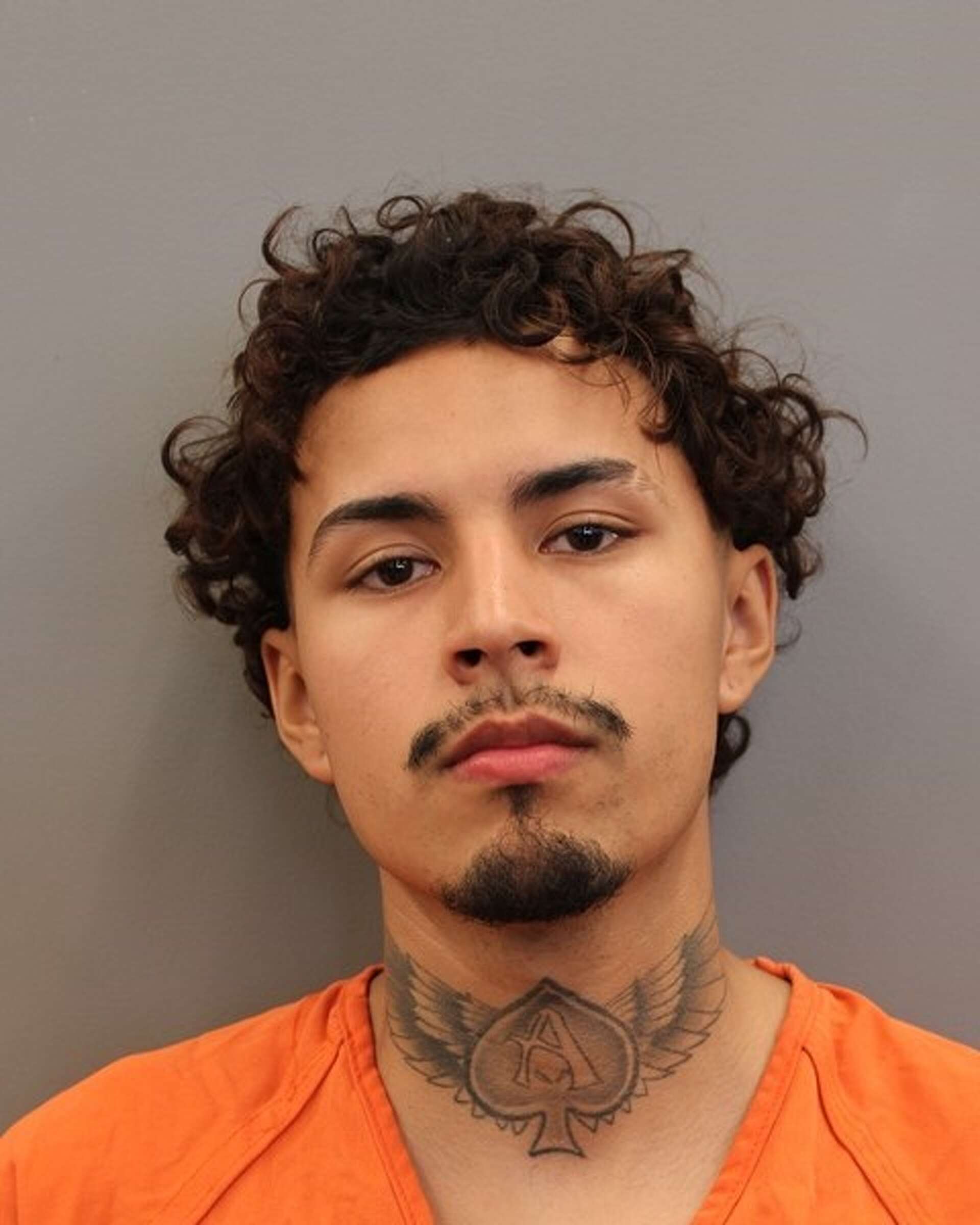 10 arrested in takedown of Houston-area crime group, HCSO says
