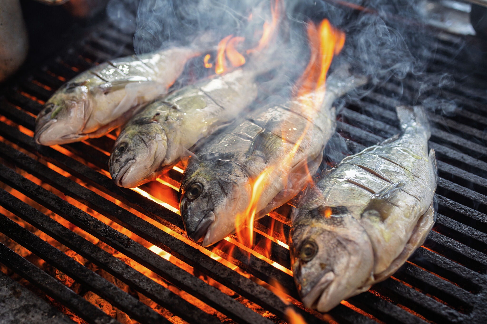 We live by the ocean. So why can't Texas barbecue do fish? - Chron