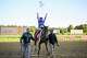 How to watch, how it works, horses to know 6 Jockey Junior Alvarado throws flowers in the air after riding Sovereignty to victory in the 156th running of the Travers Stakes on Saturday, Aug. 23, 2025, at the Saratoga Race Course in Saratoga, NY.