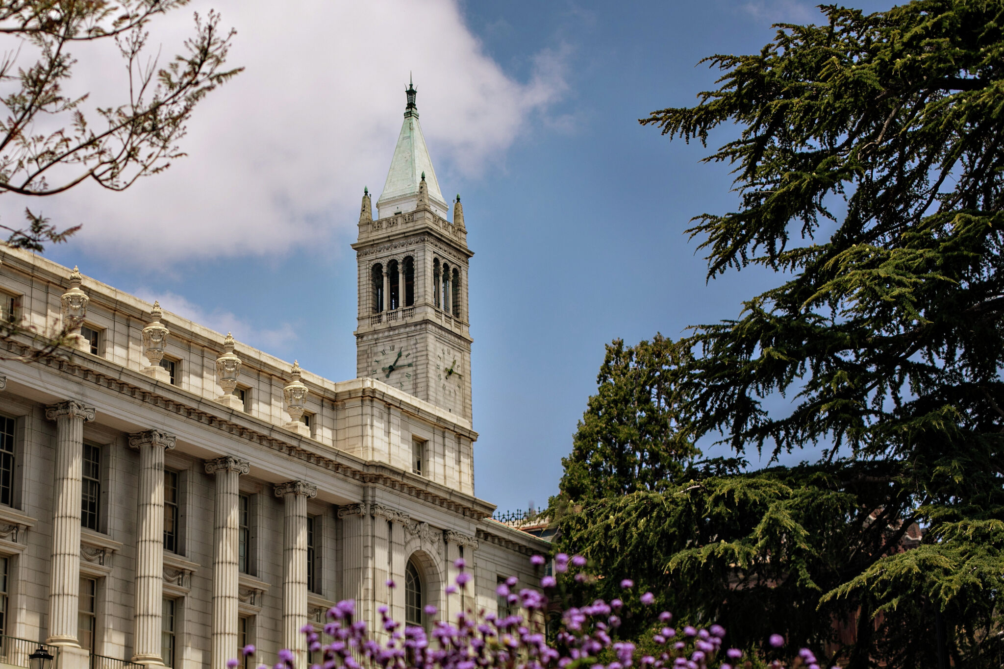 California schools quietly dominated a major global rankings list
