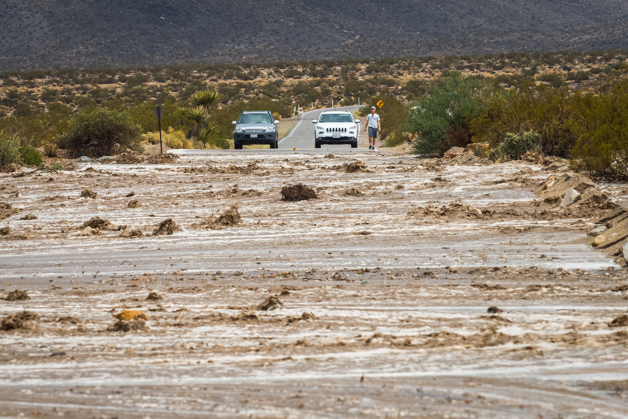 'Turn around': Heavy rain, flooding hit Joshua Tree National Park
