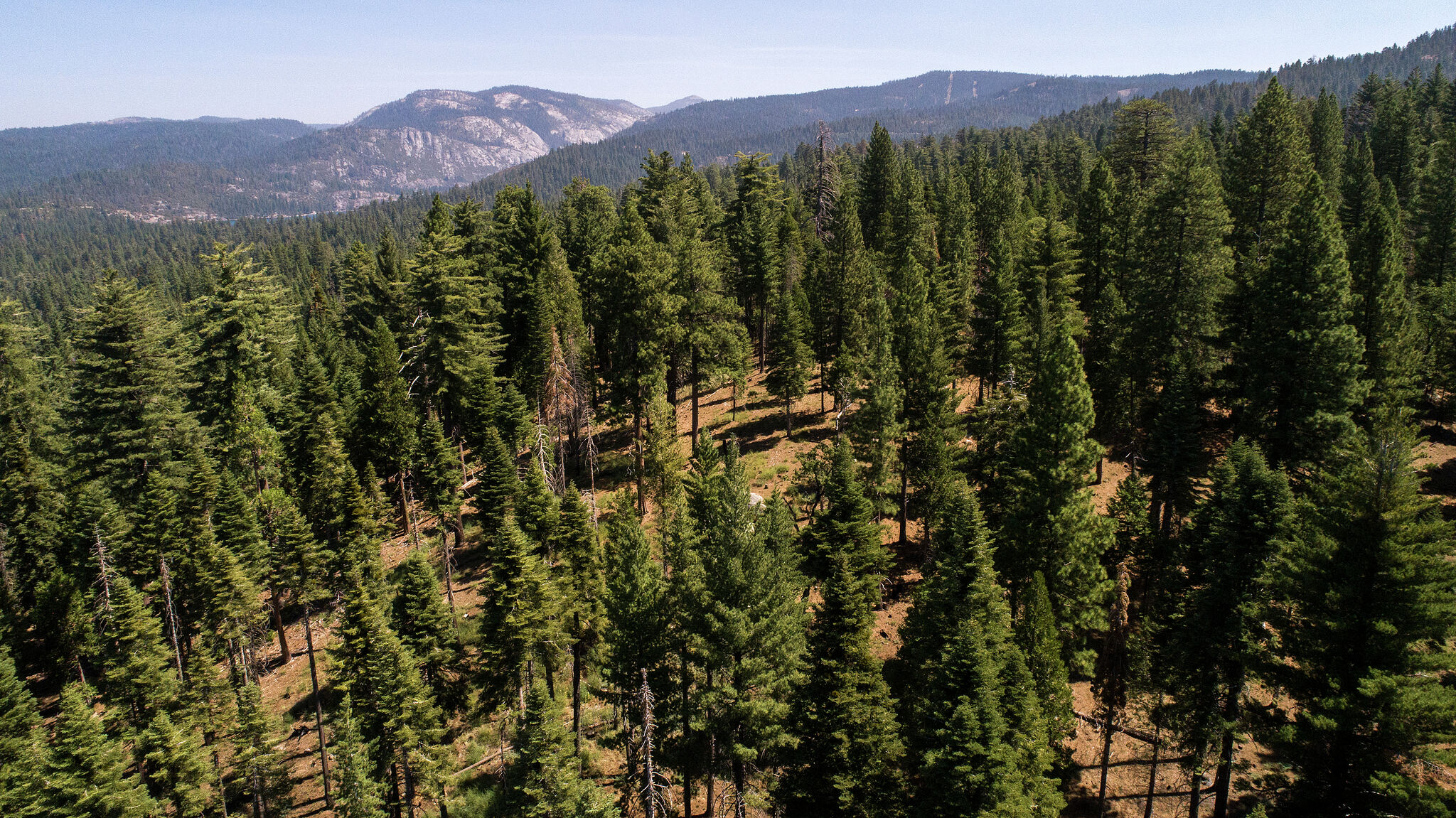 California scout troop rescues 78-year-old lost in Sierra Nevada