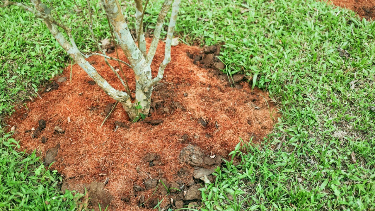 5 Tips for Selling Homes With Seasonal Lawn and Landscaping