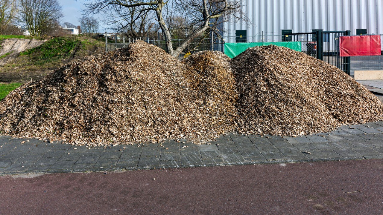 Avoid Mulch Volcanoes: 5 Key Takeaways for Healthy Trees and Curb Appeal
