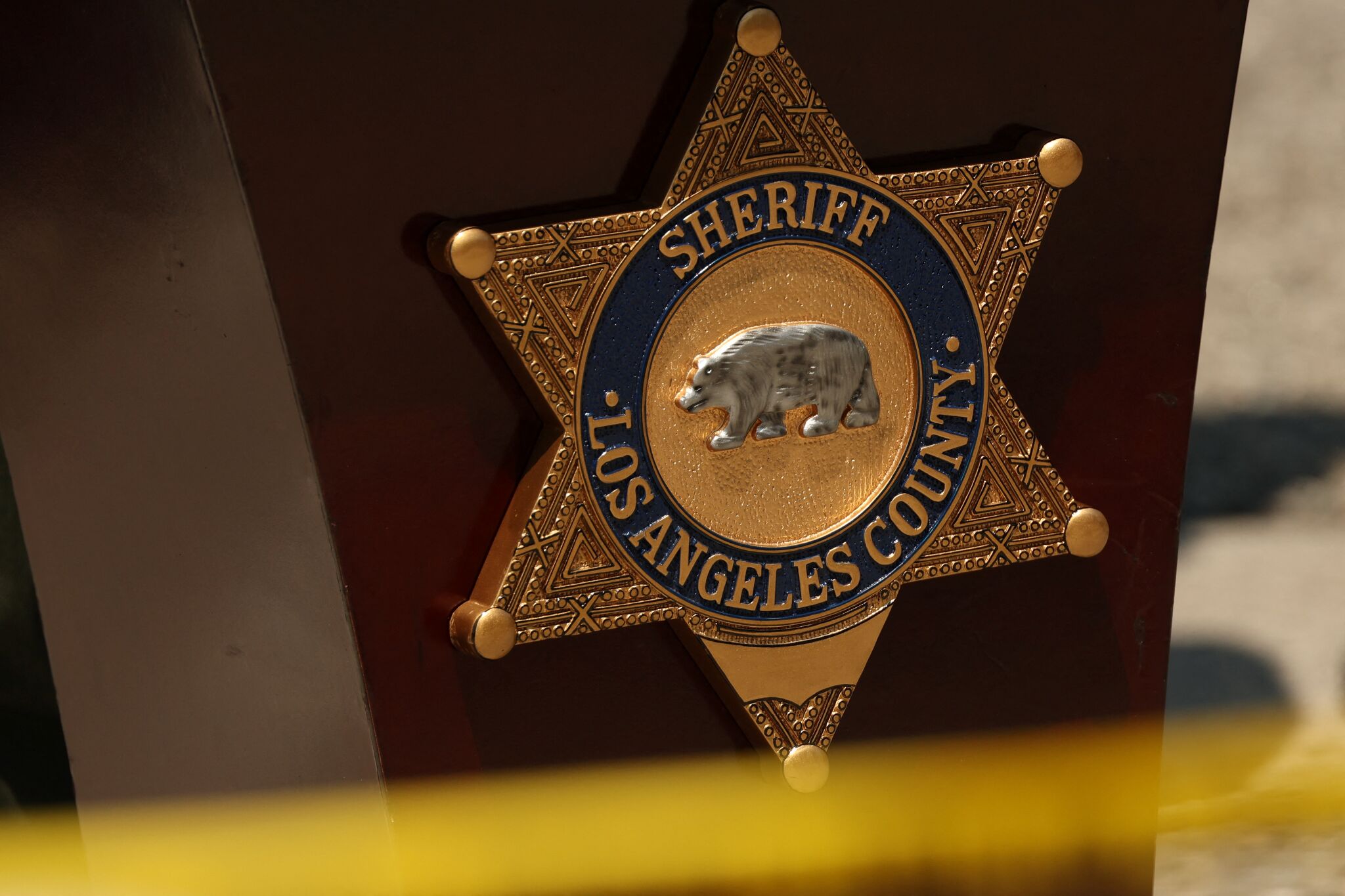 86-year-old man fatally mauled by off-leash rottweilers in California suburb