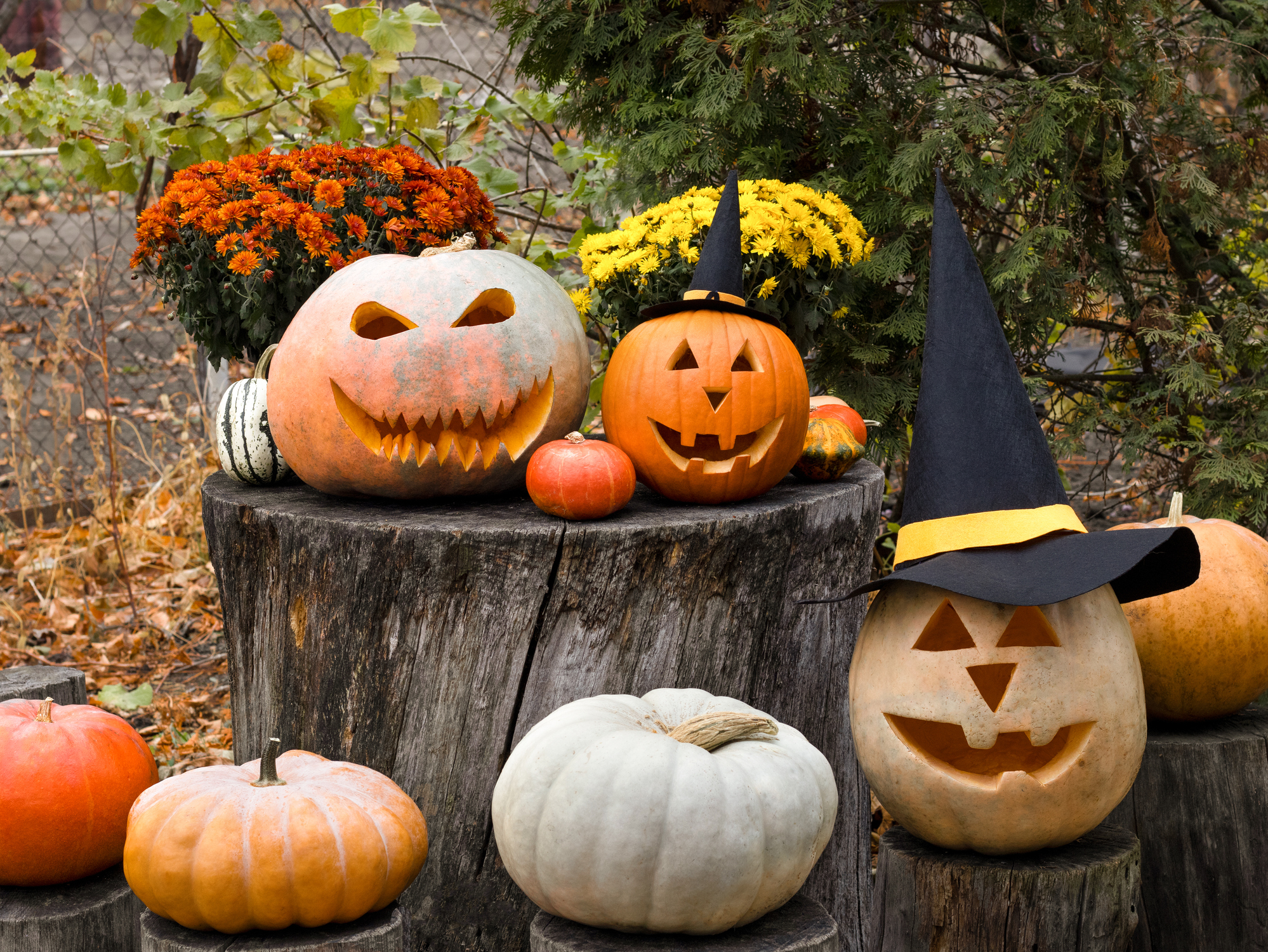Vintage Halloween decorations trends: Tips from expert Bob Richter