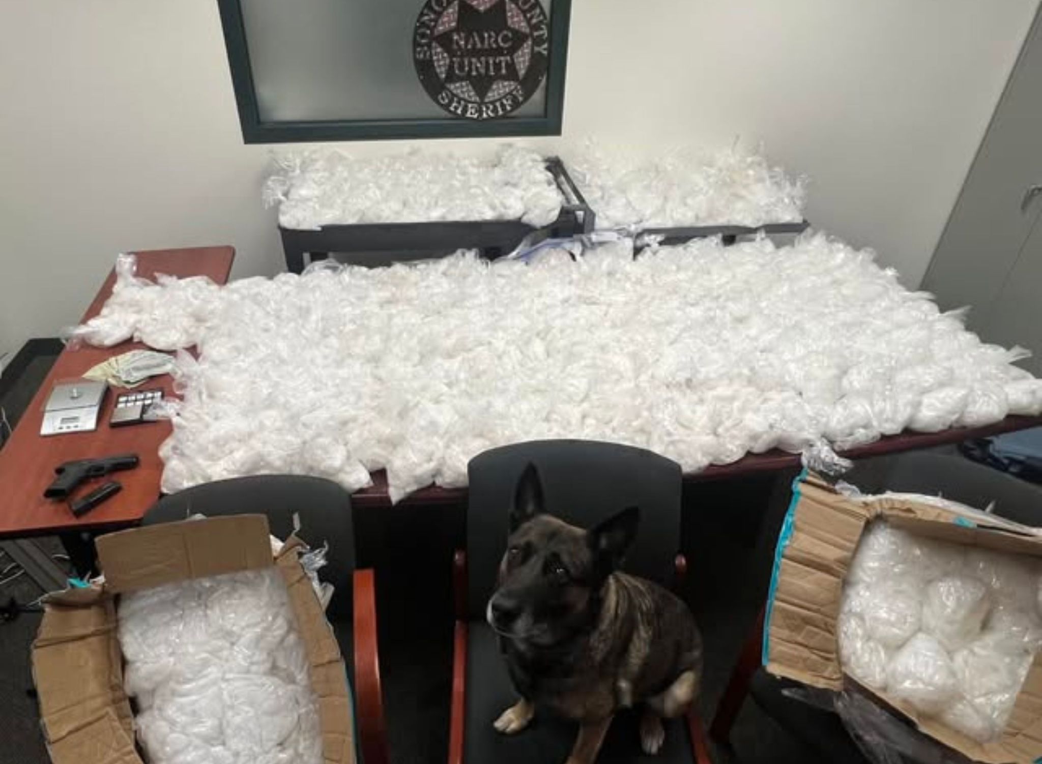 Regional: Sonoma Sheriff's Office Makes Quarter-Ton Meth Bust In San Jose