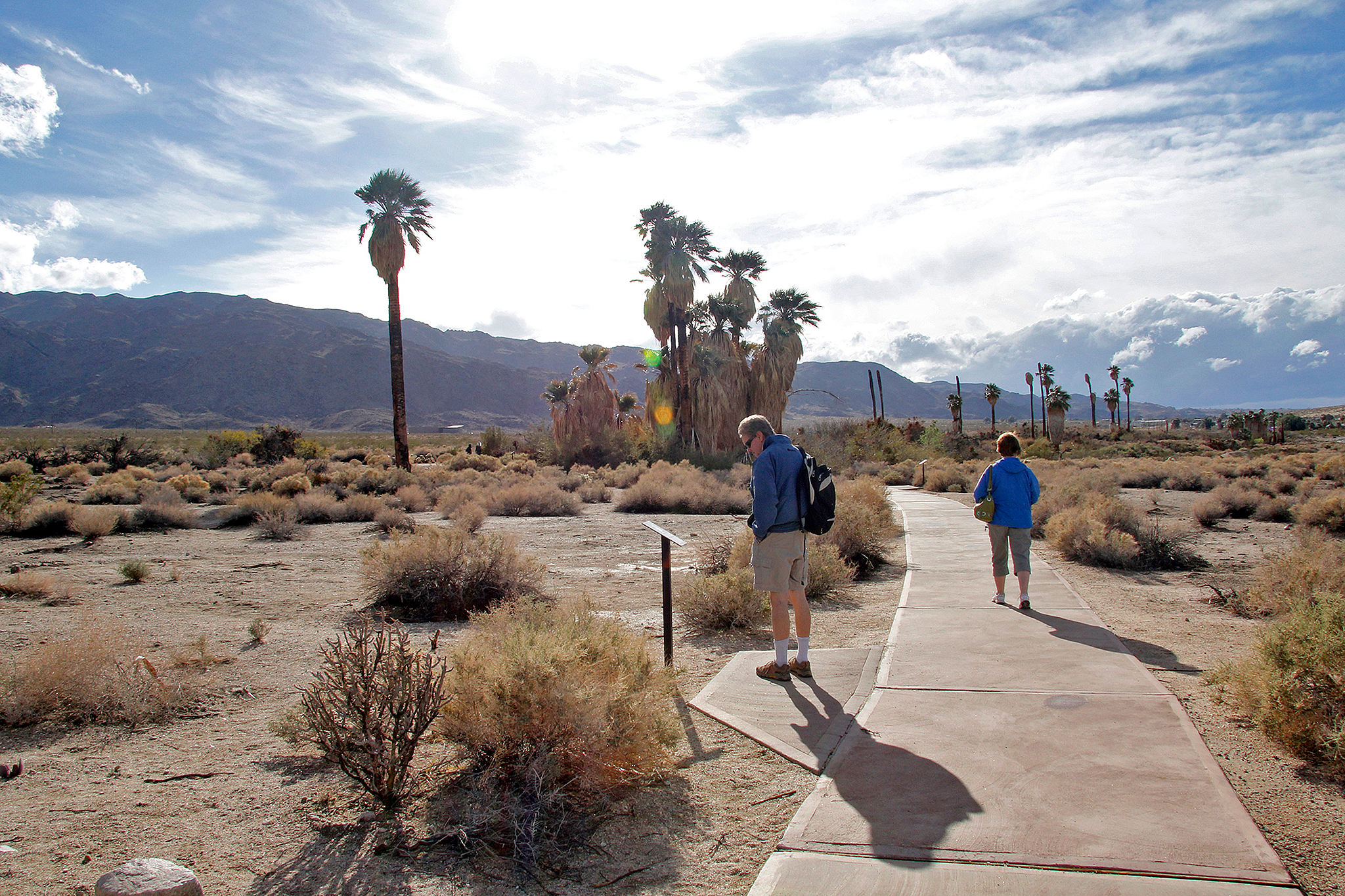 Joshua Tree National Park's palm tree oasis closes due to trail damage