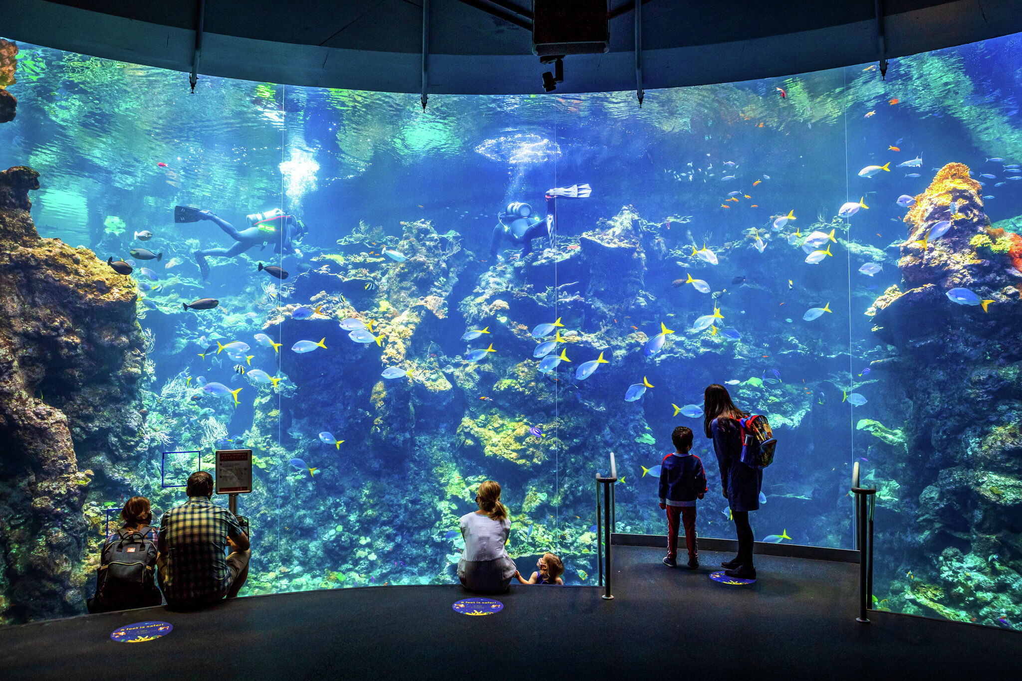 SF scientists fight climate doom with lab-grown coral breakthrough