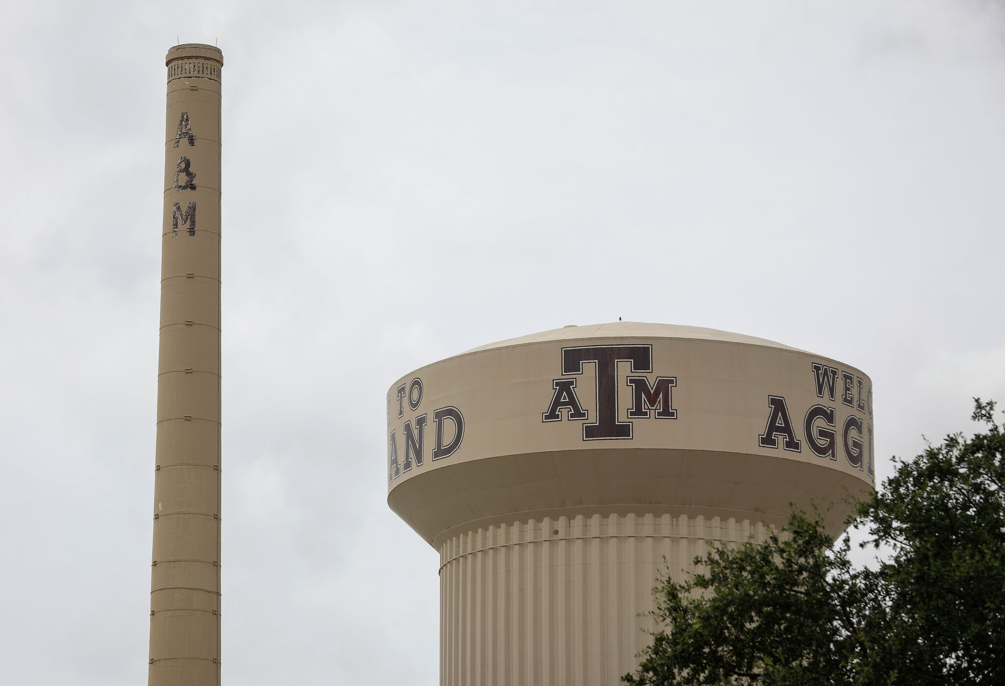 Texas A&M professor said firing stripped her constitutional rights