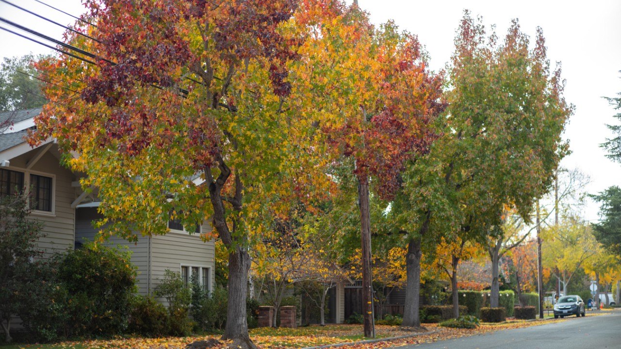 Marlton, NJ Homeowners Can Expect a Warm and Dry Fall, Says The Old Farmer's Almanac