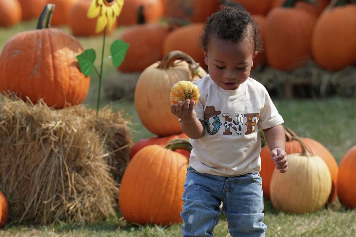 Adrian Ward, 1, celebrates his 1-year birthday at the Pumpkin Patch at Dewberry Farm in Brookshire on Sunday, Sept. 14, 2025.