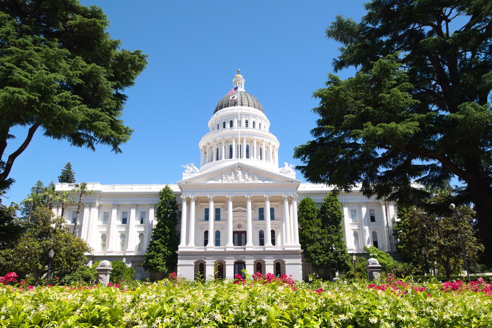 Berkeley: Nature Conservancy Exec Named To State Park Commission