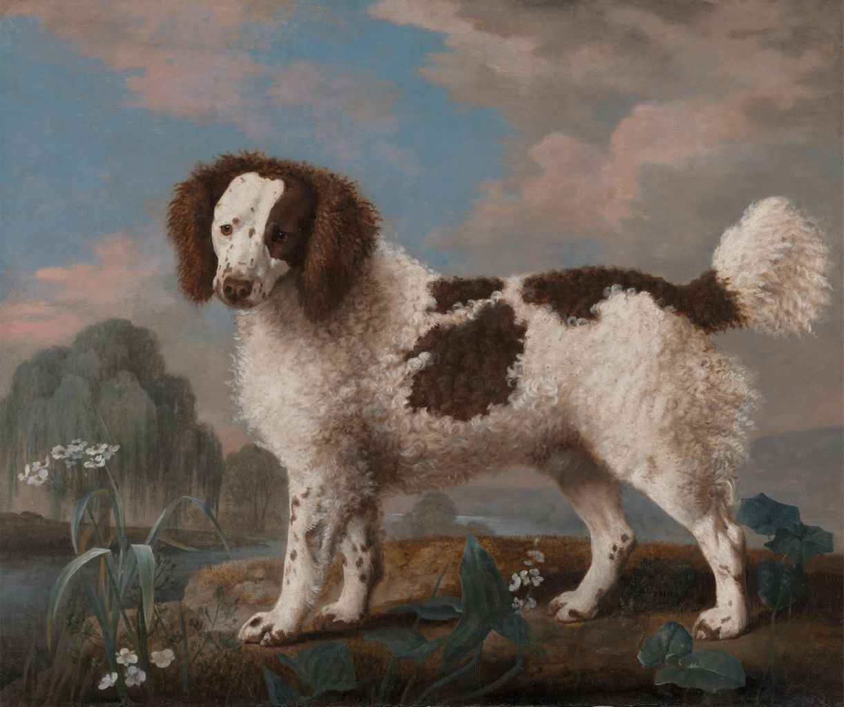 George Pointer CT and New York museums feature art about dogs