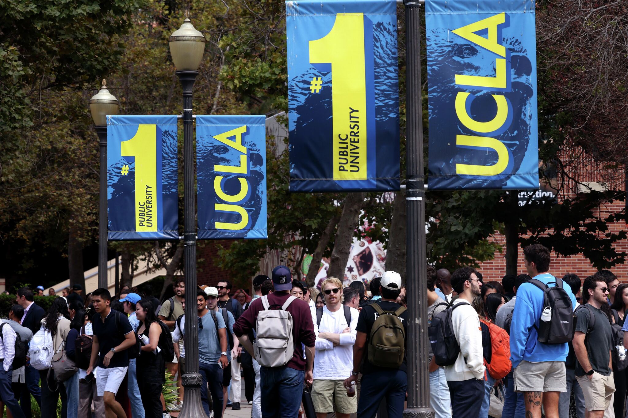 UCLA loses its title as the nation's best public school after 8 years