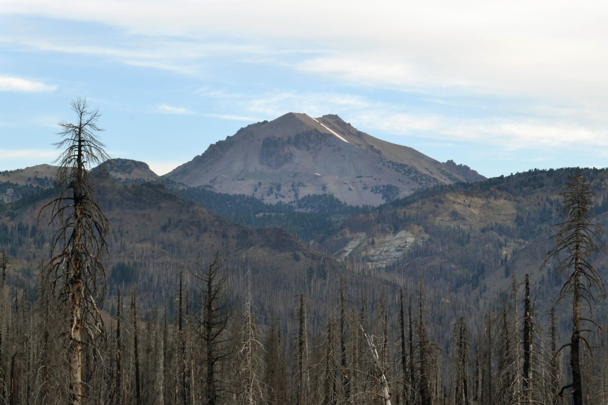 https://s.hdnux.com/photos/01/54/46/17/28468164/3/rawImage.jpg