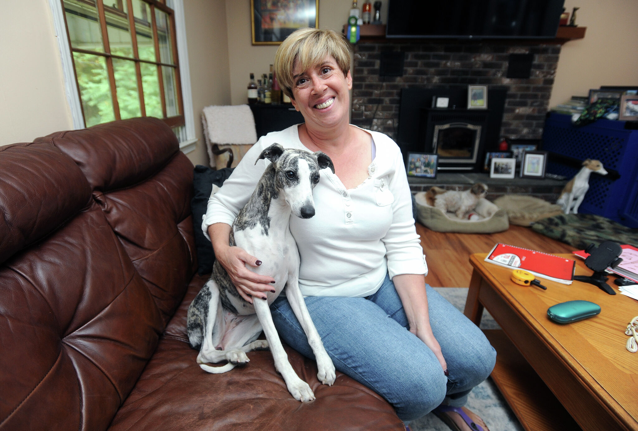 Life of a CT show dog is one of pampering, playing and grooming