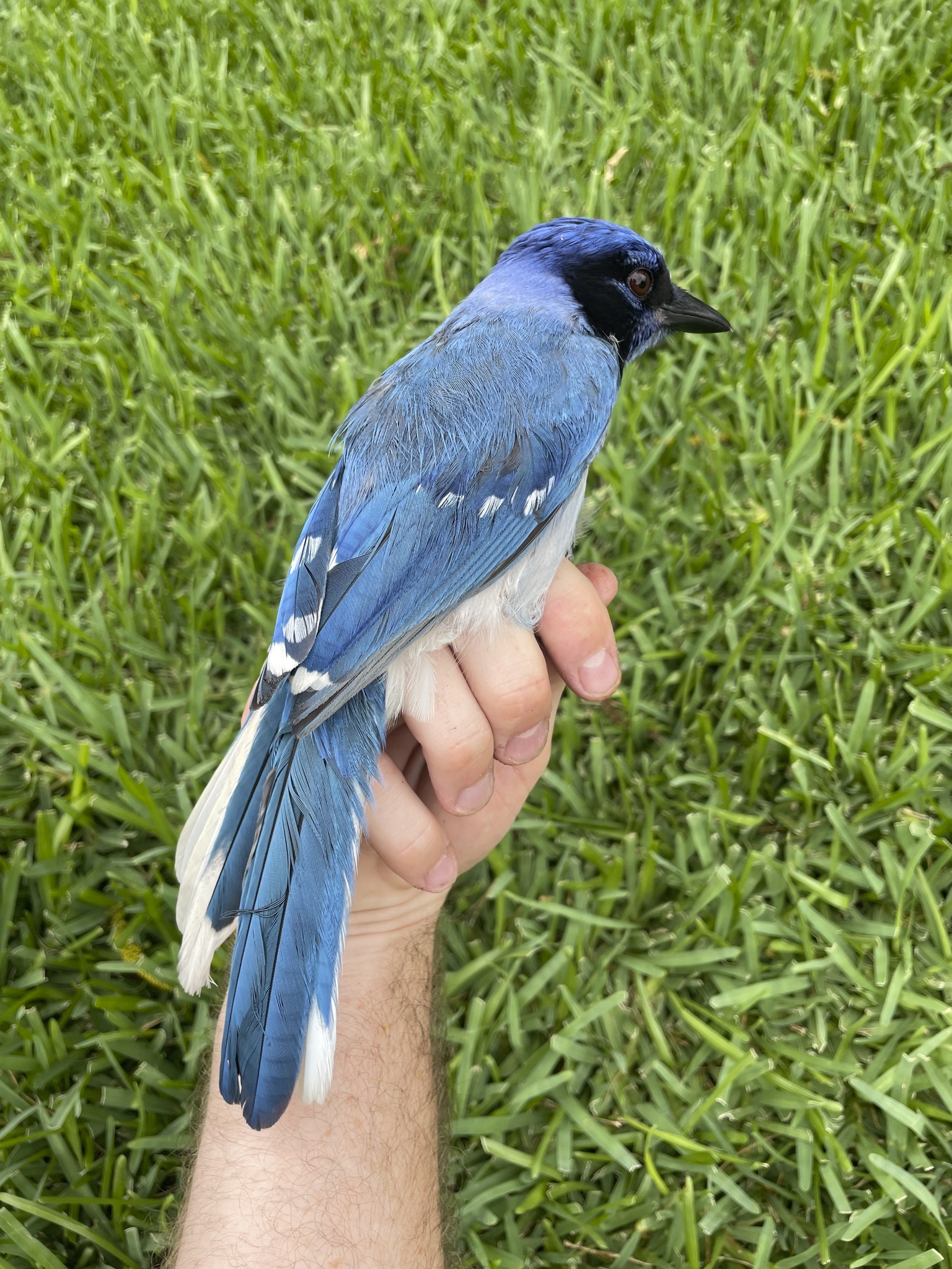 https://s.hdnux.com/photos/01/54/50/10/28475933/5/rawImage.jpg