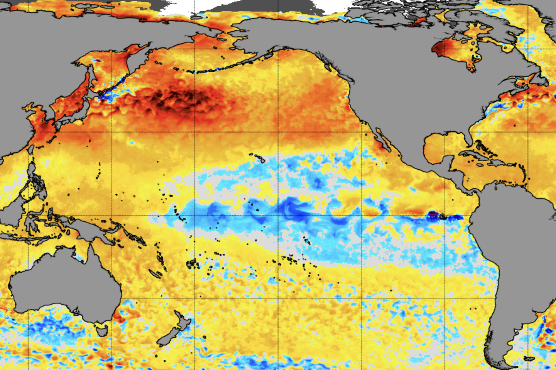 'The Blob' marine heat wave now spans an area the size of the US