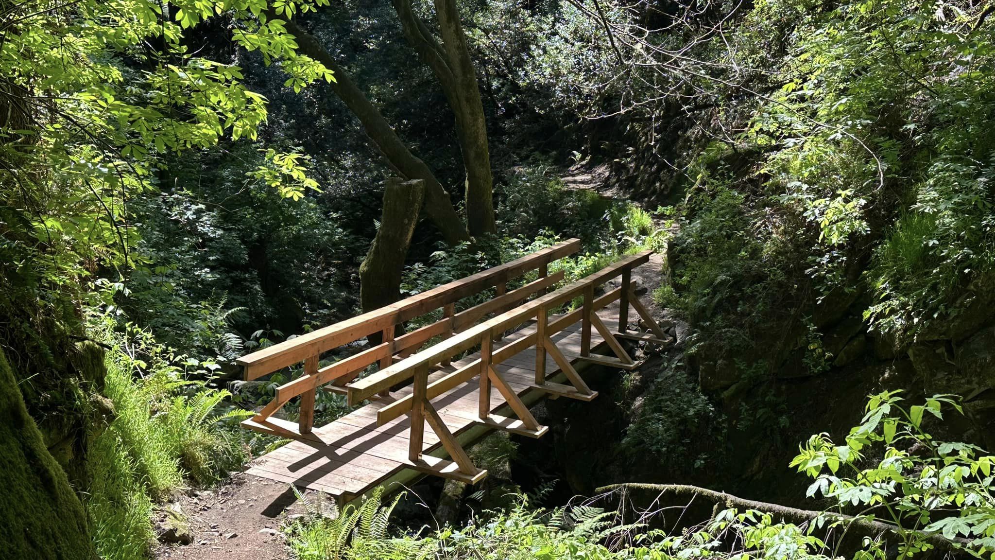 https://s.hdnux.com/photos/01/54/52/43/28485828/3/rawImage.jpg