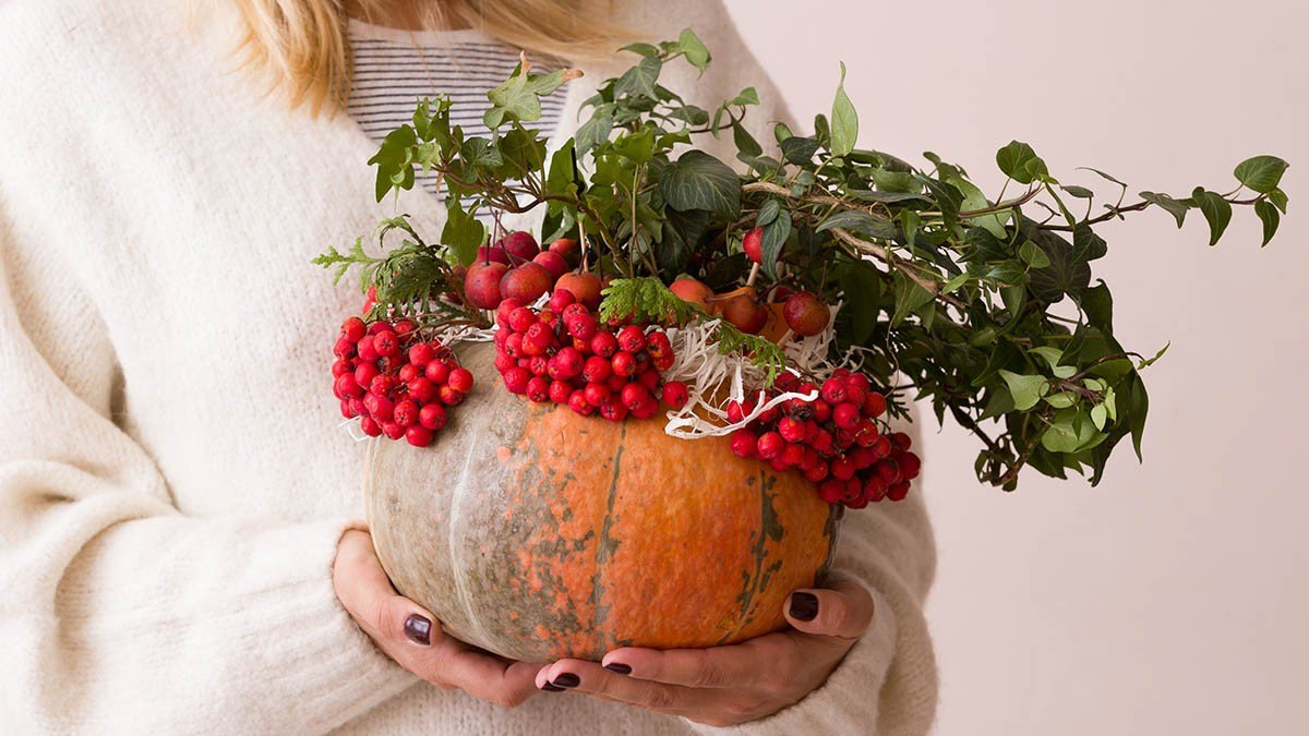 5 Key Takeaways: Beware of Fall Decor Making You Sick