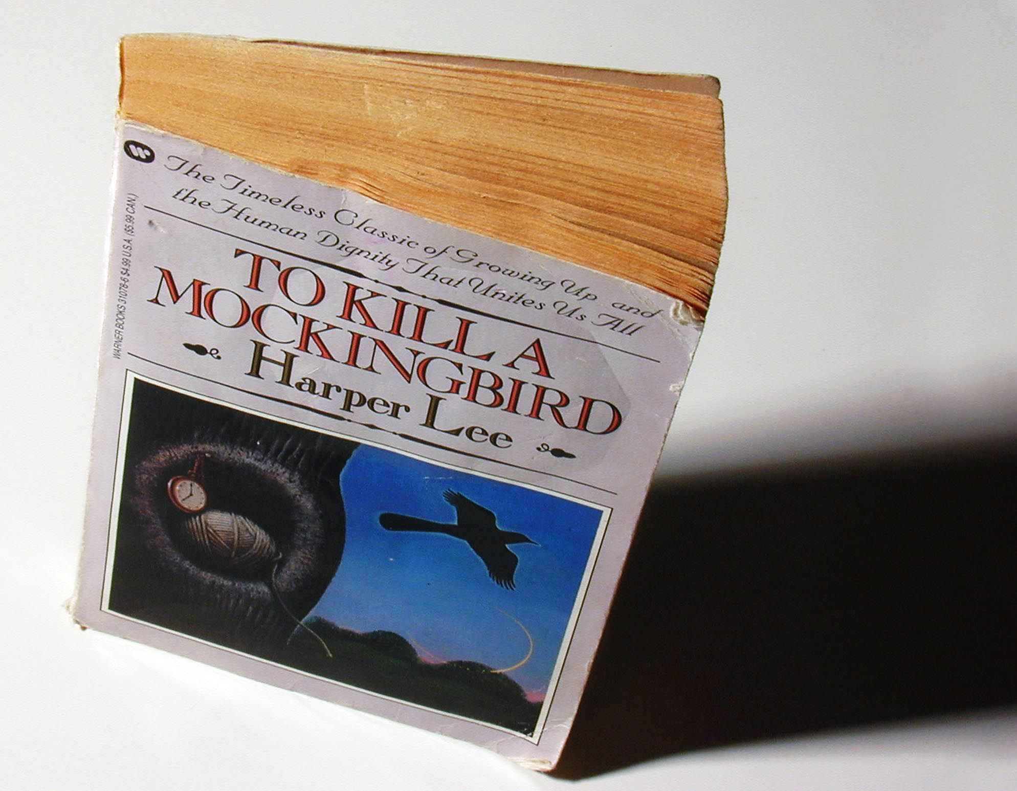 Zuerst haben texanische Schulen mein Buch verboten. Jetzt heißt es „Wer ...