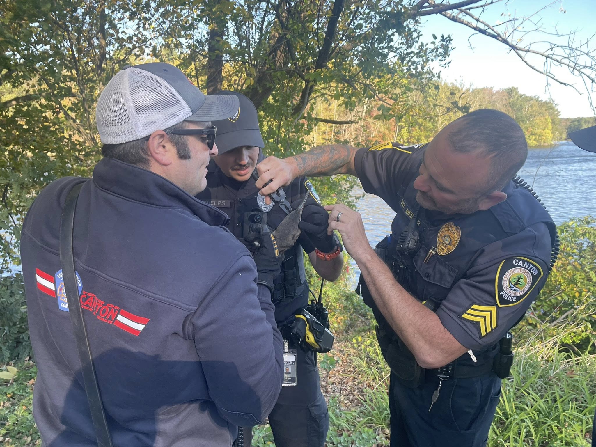 Canton officials rescue bird tangled in fishing line, police say