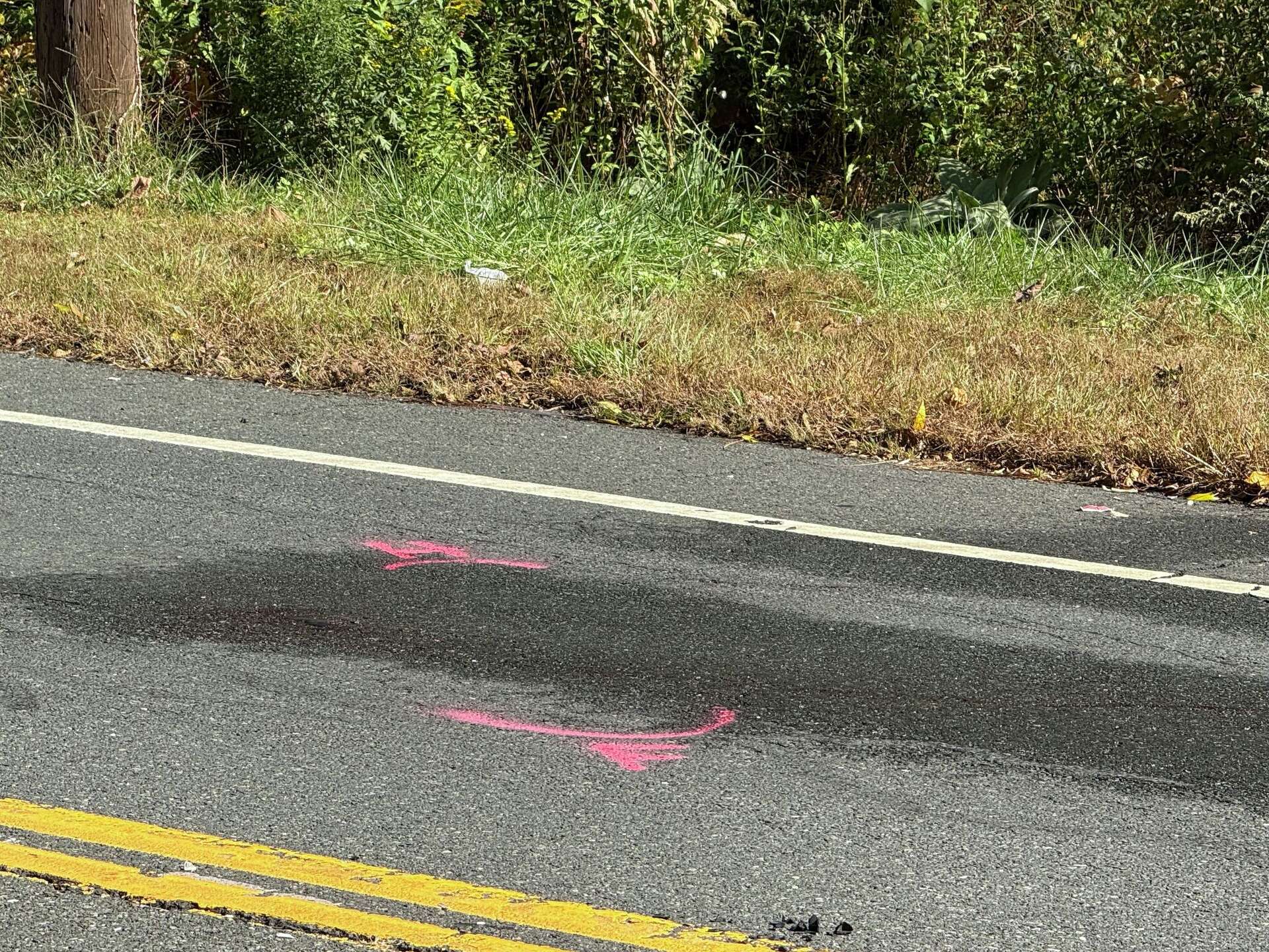 Delivery driver seriously hurt in Vernon after hit by car, police say