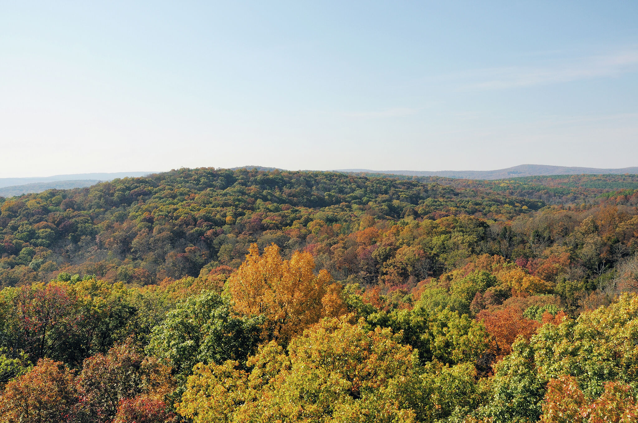 Jacksonville Journal Courier: Central IL News Sports and Opinion