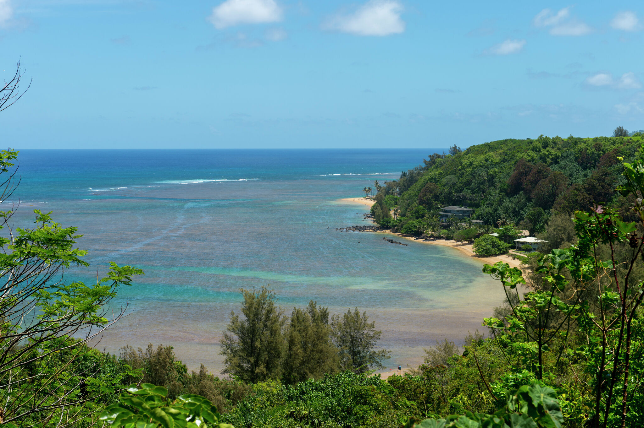 Calif. man dies swimming off Hawaii beach