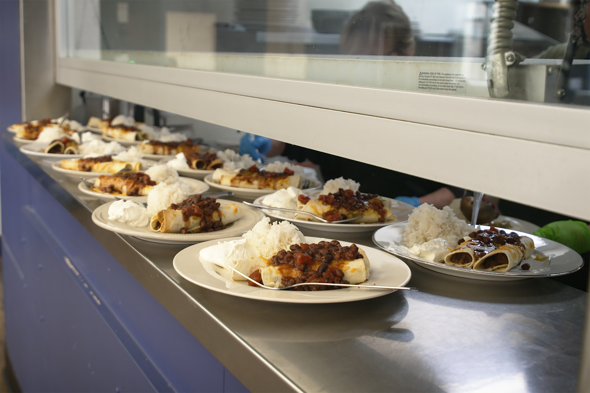 Mysterious feline likely housecat, says DNR