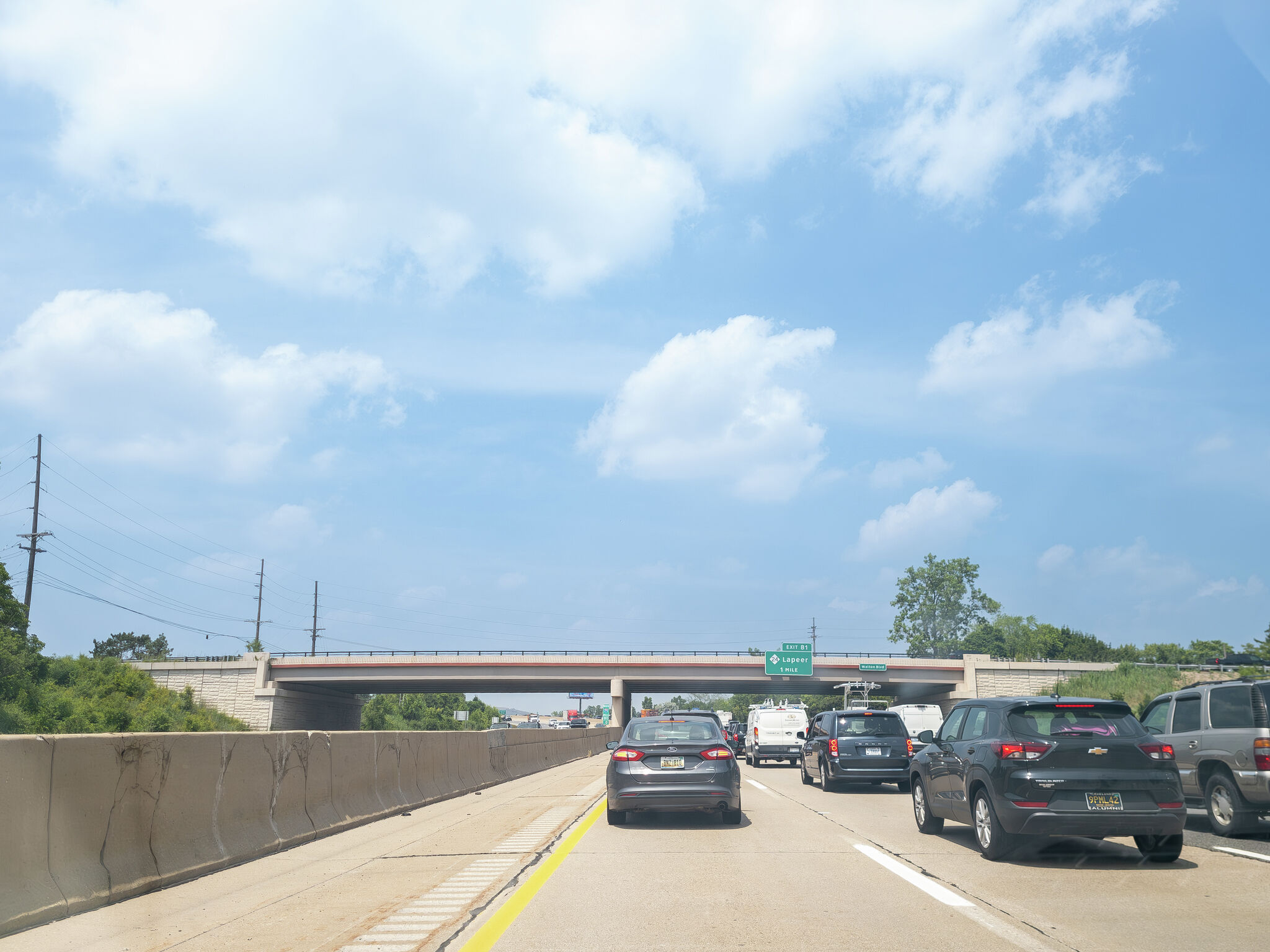 Michigan deputies rescue deer stuck between highway barriers